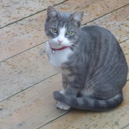 منزل للإقامة Bienvenu A La Campagne