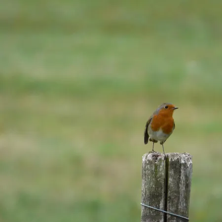 Bienvenu à La Campagne Séjour chez l'habitant