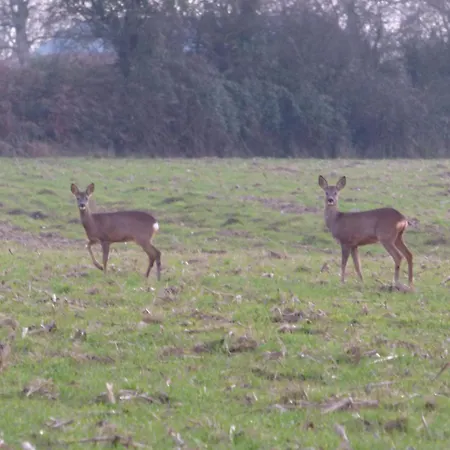 Bienvenu à La Campagne Séjour chez l'habitant La Roche-sur-Yon