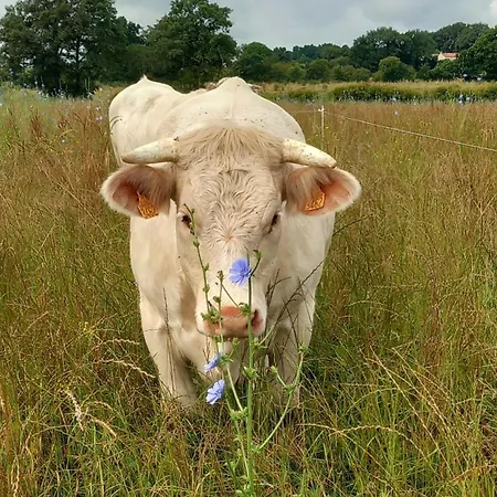 Bienvenu A La Campagne منزل للإقامة