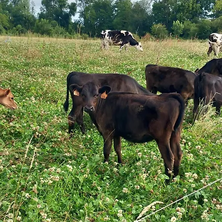 Habitación en casa particular Bienvenu A La Campagne *
