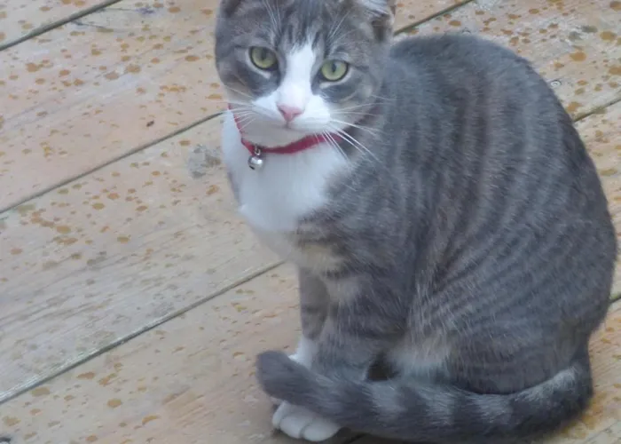 Privatunterkunft Bienvenu A La Campagne