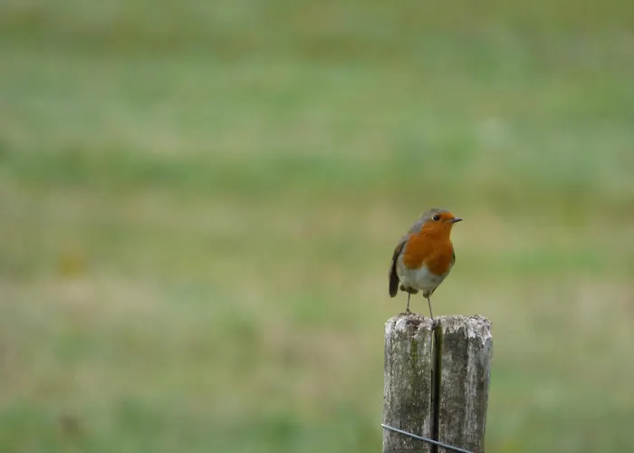 Bienvenu A La Campagne Habitación en casa particular
