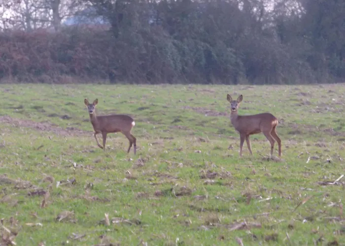 Bienvenu A La Campagne Habitación en casa particular La Roche-sur-Yon